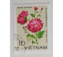 Вьетнам (1127)