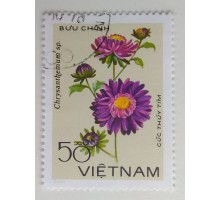 Вьетнам (1125)