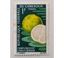 Камерун 1967. Фрукты (1046)