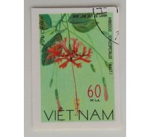 Вьетнам (1142)