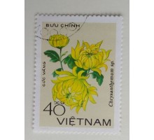 Вьетнам (1137)