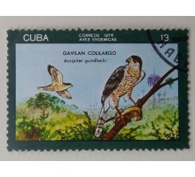 Куба 1976. Фауна (1108)