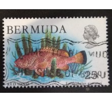 Бермуды (4058)