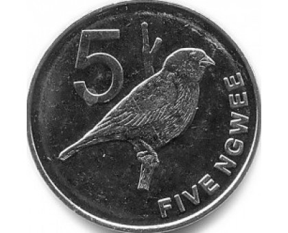 Замбия 5 нгве 2012-2017