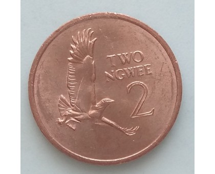 Замбия 2 нгве 1982-1983