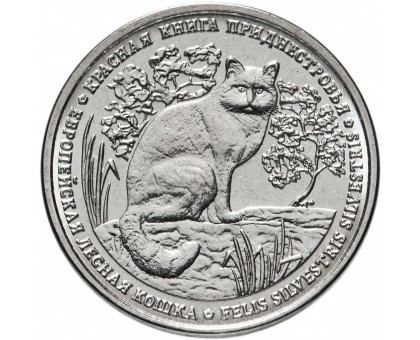 Приднестровье 1 рубль 2020. Красная книга - Европейская лесная кошка