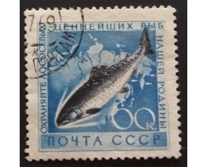 СССР 1959. Охрана морской фауны (5240)