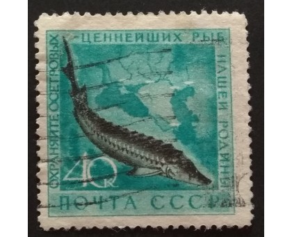 СССР 1959. Охрана морской фауны (5241)