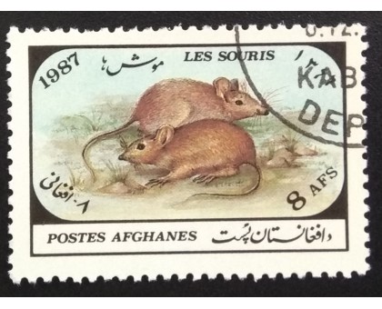 Афганистан 1987. Фауна (6031)