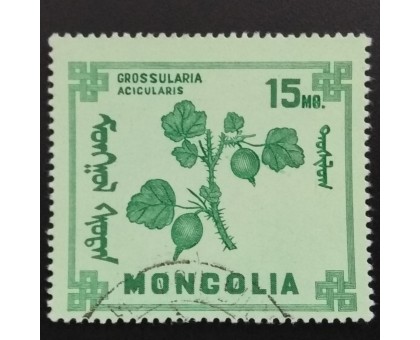 Монголия 1968. Цветы (6074)