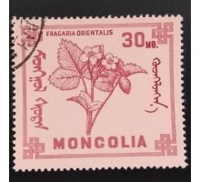 Монголия 1968. Цветы (6075)