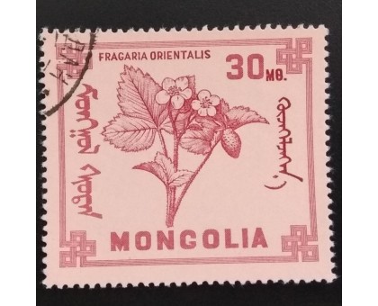 Монголия 1968. Цветы (6075)