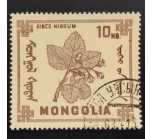 Монголия 1968. Цветы (6077)