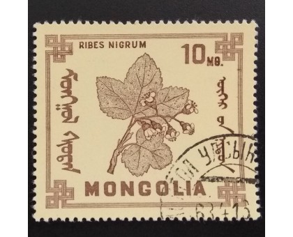 Монголия 1968. Цветы (6077)