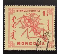 Монголия 1968. Цветы (6269)