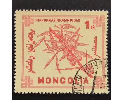 Монголия 1968. Цветы (6269)