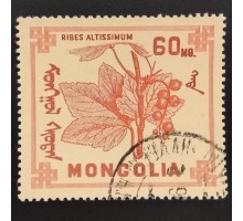 Монголия 1968. Цветы (6270)