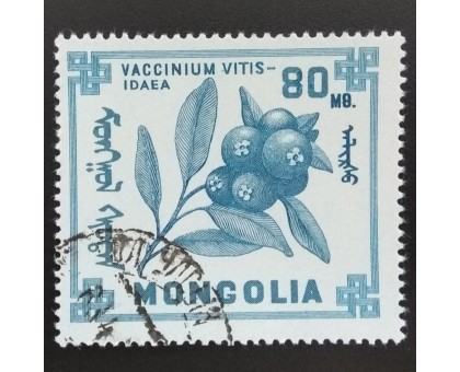 Монголия 1968. Цветы (6271)
