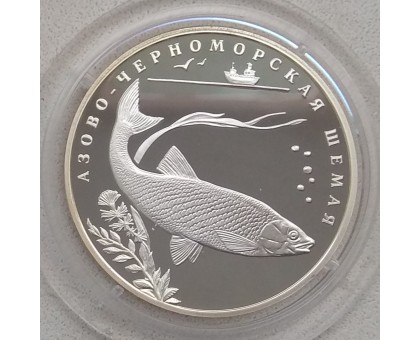 Россия 2 рубля 2008. Азово-черноморская шемая