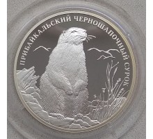 Россия 2 рубля 2008. Прибайкальский черношапочный сурок