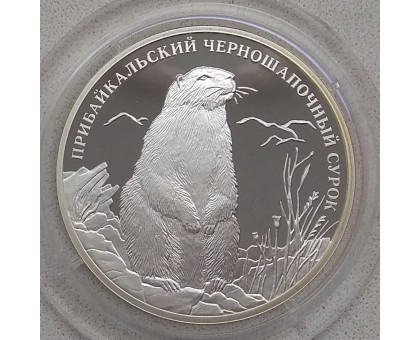 Россия 2 рубля 2008. Прибайкальский черношапочный сурок