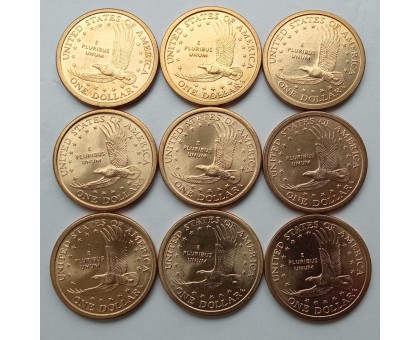 США 1 доллар 2000-2008. Парящий орел Индианка Сакагавея. Набор 9 монет