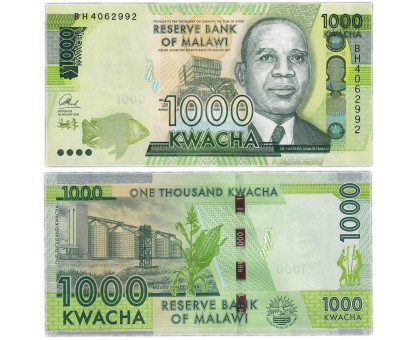 Малави 1000 квача 2016-2017