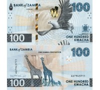 Замбия 100 квача 2025