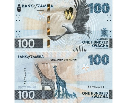 Замбия 100 квача 2025