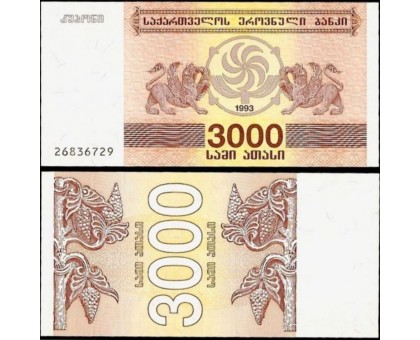Грузия 3000 купонов 1993