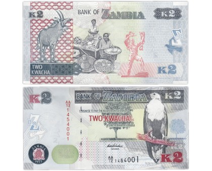 Замбия 2 квача 2012