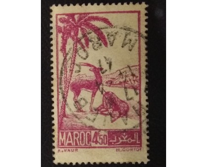 Марокко (4703)