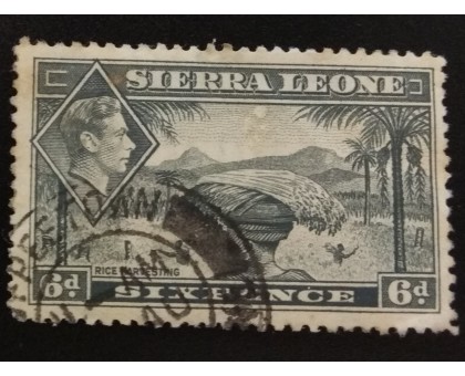 Сьерра-Леоне (4762)