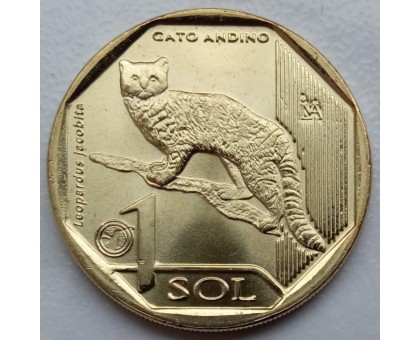 Перу 1 соль 2019. Фауна Перу - Андская кошка