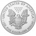 США 1 доллар 2019. Шагающая Свобода. Серебро