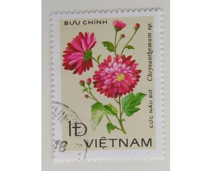 Вьетнам (1127)