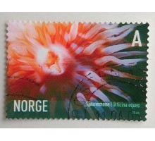 Норвегия (867)