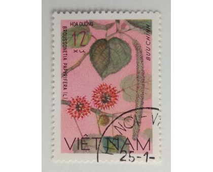 Вьетнам (1131)