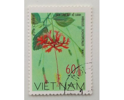 Вьетнам (1133)