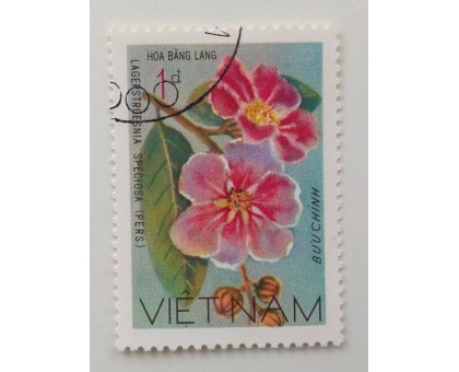 Вьетнам (1132)