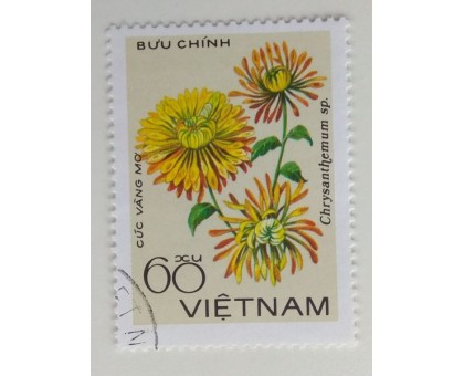 Вьетнам (1129)