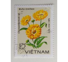 Вьетнам (1128)