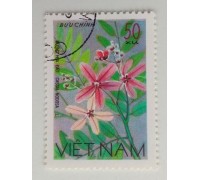 Вьетнам (1135)