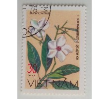 Вьетнам (1134)