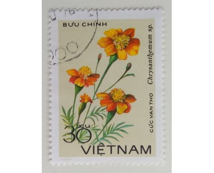 Вьетнам (1126)