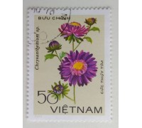 Вьетнам (1125)