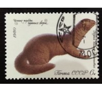 СССР 1980. 6 коп. Ценные породы пушных зверей (0079)