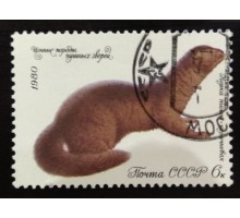 СССР 1980. 6 коп. Ценные породы пушных зверей (0079)