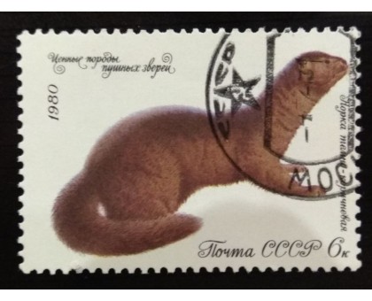 СССР 1980. 6 коп. Ценные породы пушных зверей (0079)