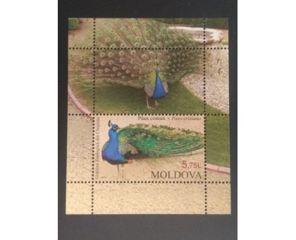 Молдова. Блок марок 2013. Павлин (Б004)
